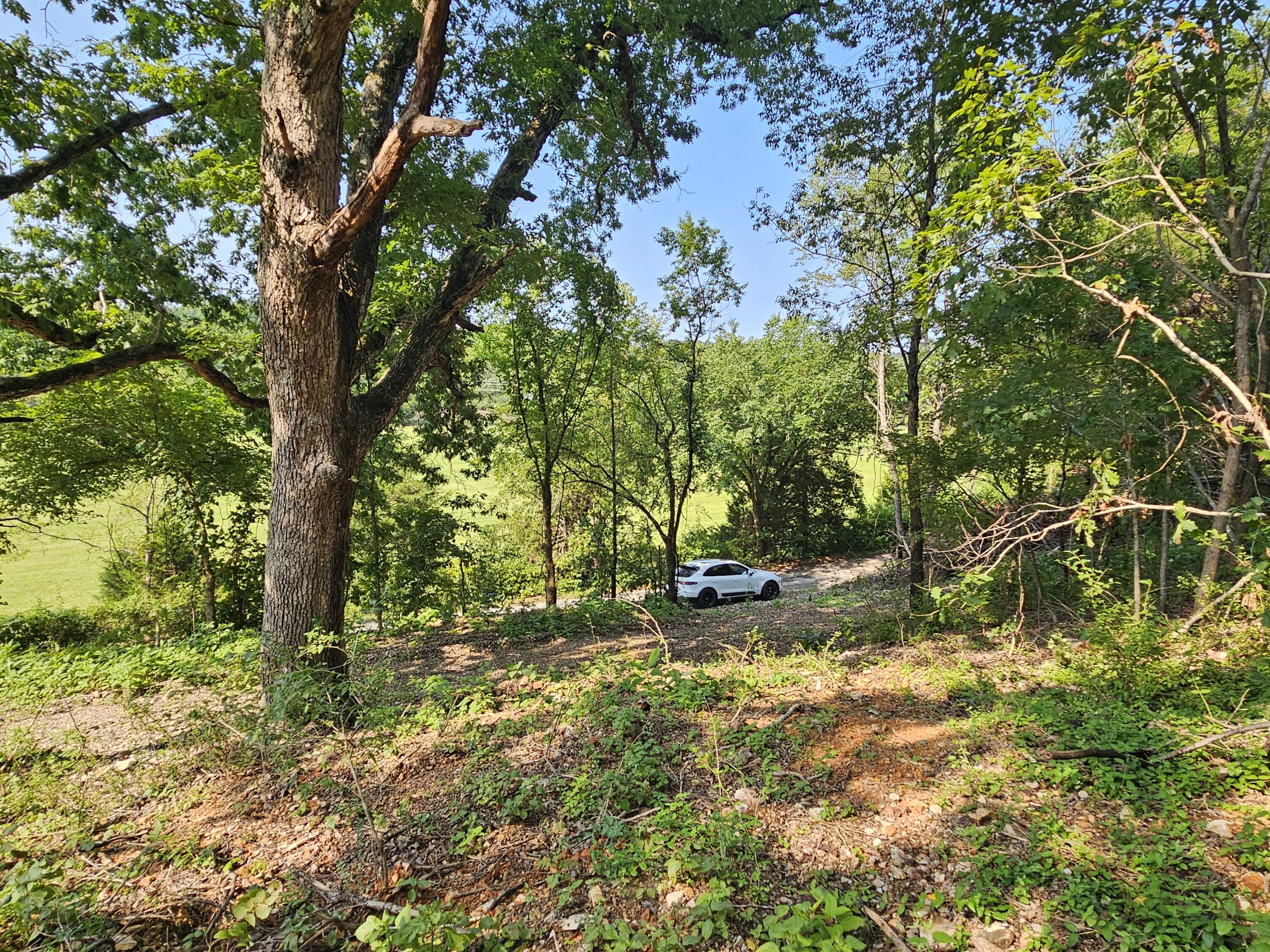 0 McLean Road Ozark, MO 65721 - Photo 6 of 14 1000034179
