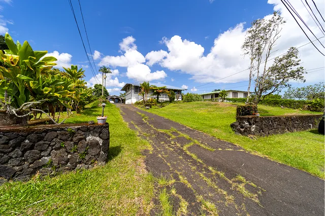 a view of a yard with an umbrella