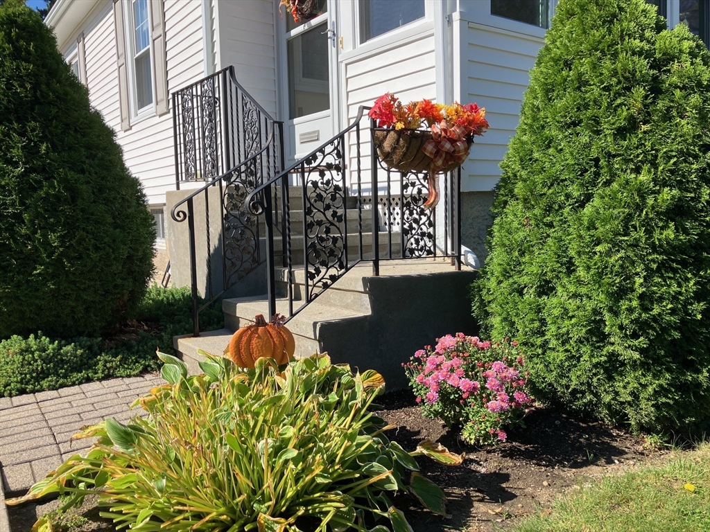 93 Crown Avenue Riverside, RI 02915 - Photo 2 of 33 a view of a flowers in front of a house