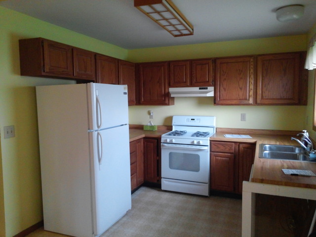 14035 West Barr Road Manhattan, IL 60442 - Photo 5 of 16