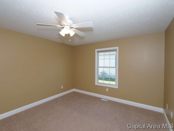 616 Heathrow Lane Rochester, IL 62563 - Photo 16 of 24