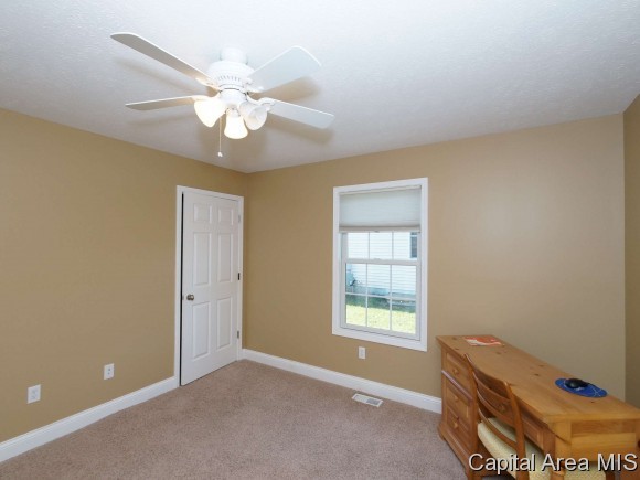 616 Heathrow Lane Rochester, IL 62563 - Photo 17 of 24