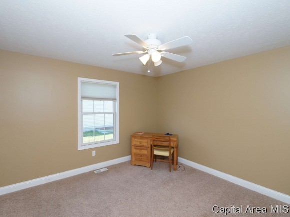 616 Heathrow Lane Rochester, IL 62563 - Photo 18 of 24