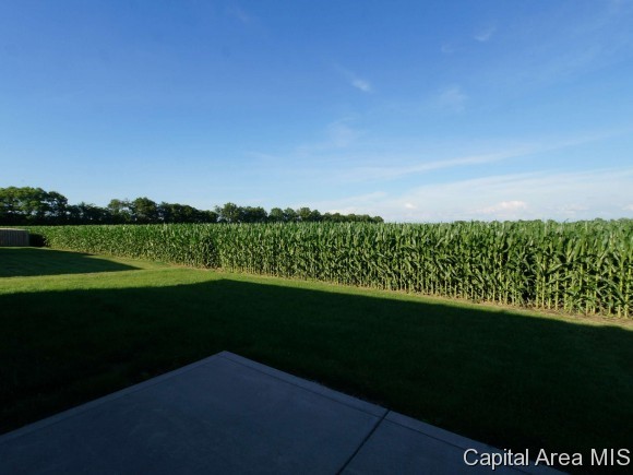 616 Heathrow Lane Rochester, IL 62563 - Photo 20 of 24