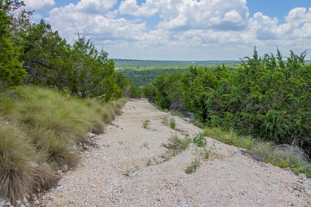179 Cherry Springs Road Hunt, TX 78024 - Photo 30 of 40