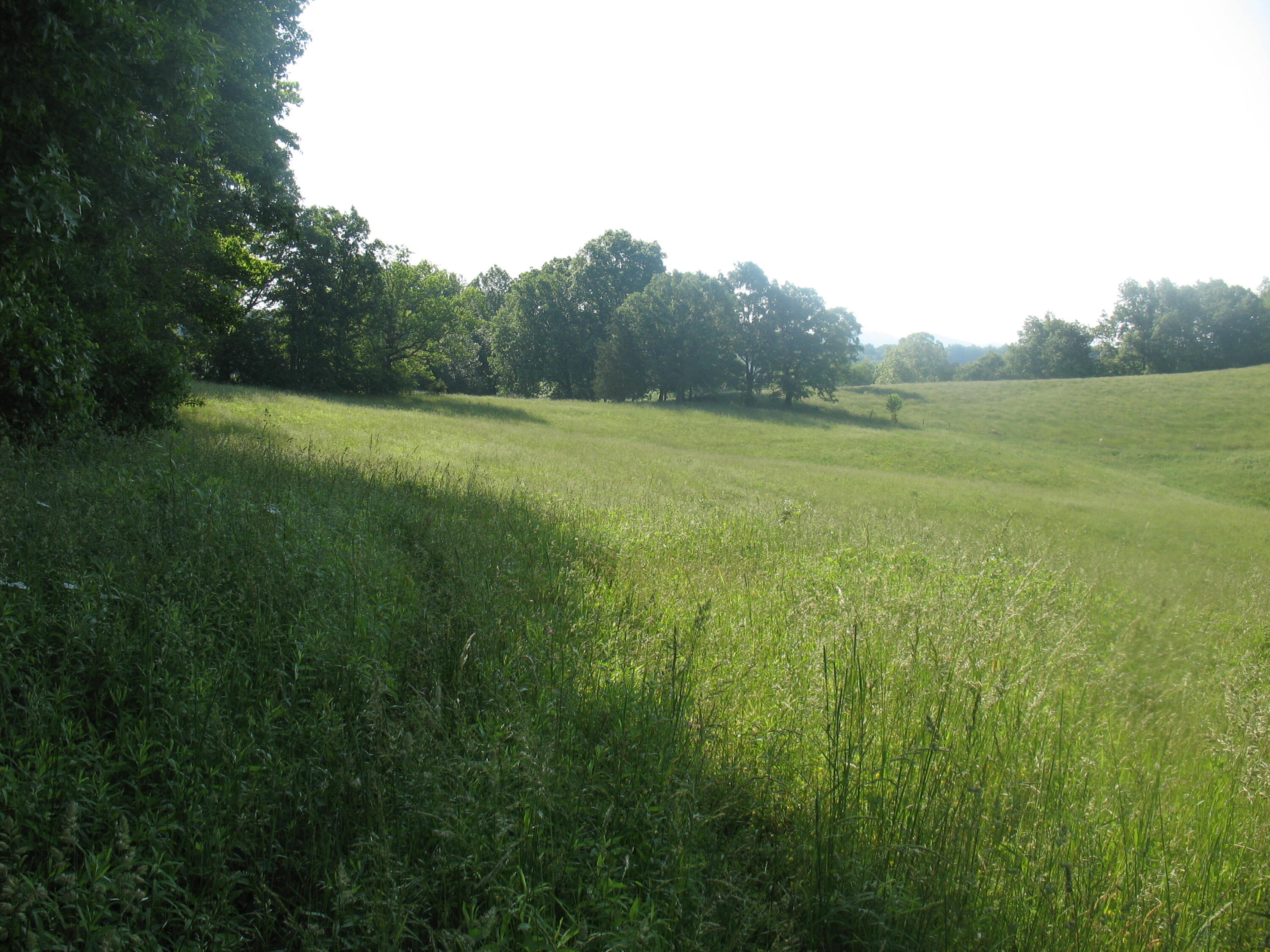 9999 Rudder Lane London, KY 40741 - Photo 16 of 33 IMG_4316