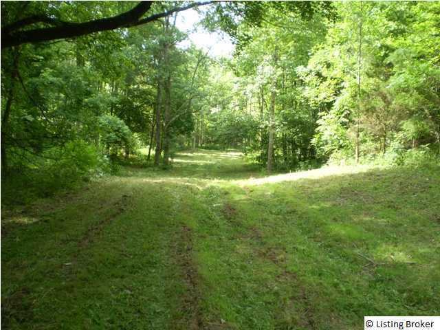 0 Stockholm Road Mammoth Cave, KY 42259 - Photo 1 of 4 Primary Photo