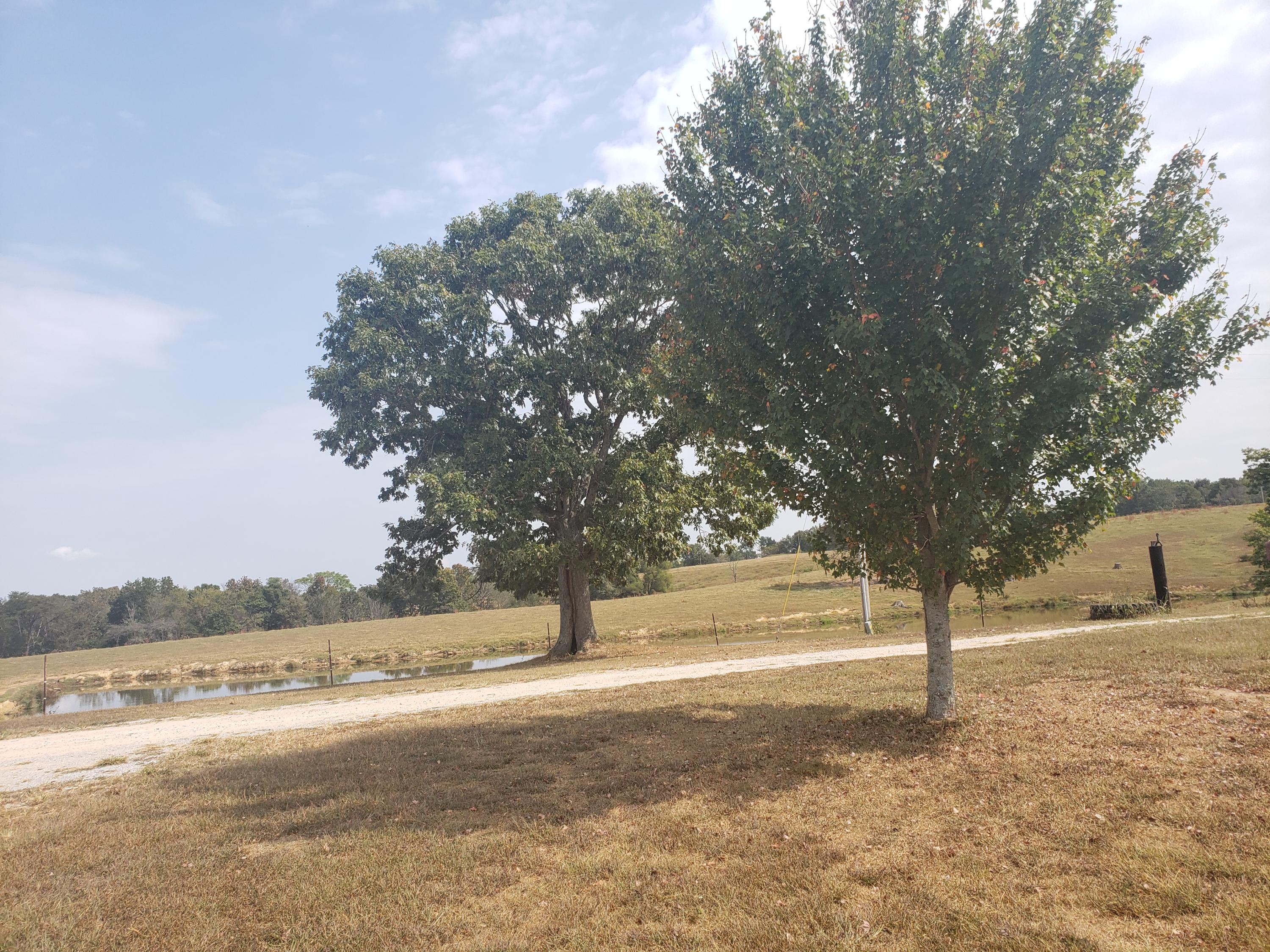 2129 Watson Loop Pikeville, TN 37367 - Photo 24 of 32 20190928_111315
