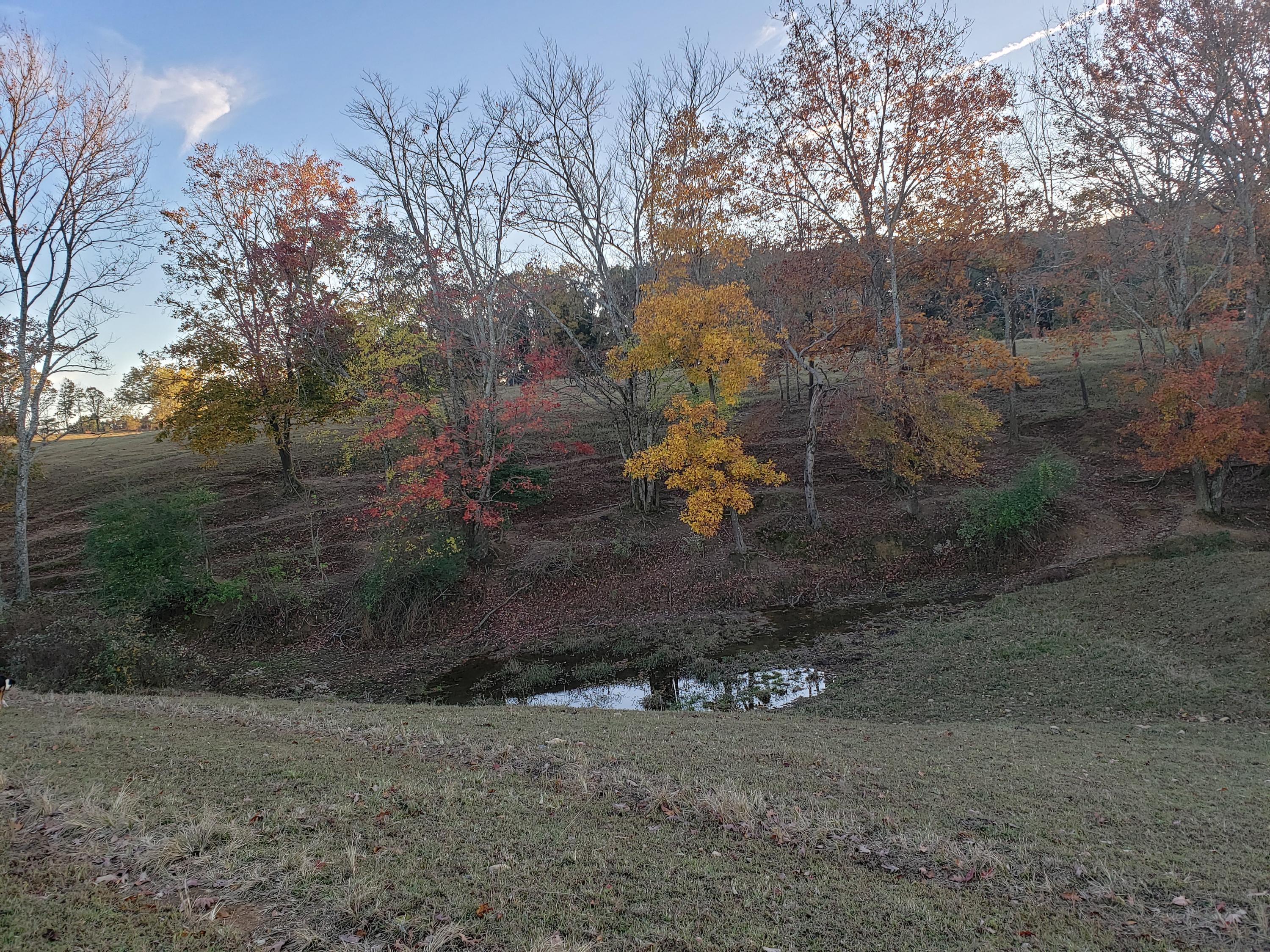 2129 Watson Loop Pikeville, TN 37367 - Photo 32 of 32 20191028_172534