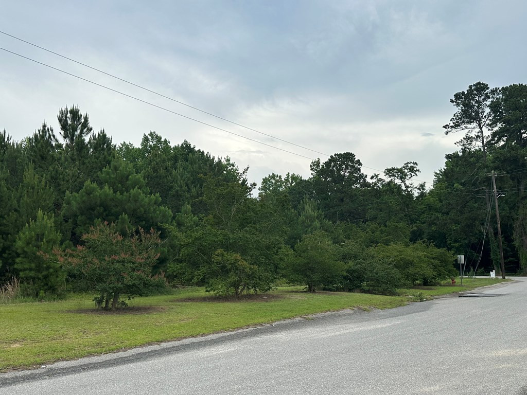 Lot B Atkinson Street Turbeville, SC 29162 - Photo 2 of 5 Gallery Image 2