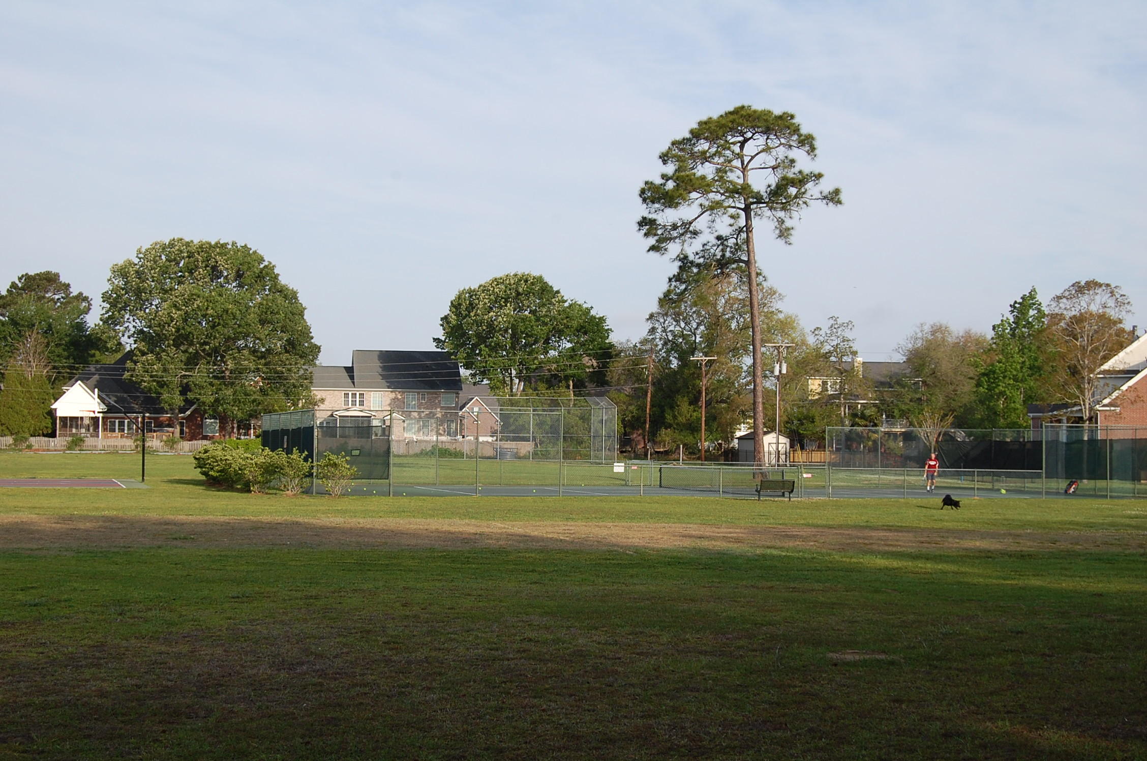 710 Old Plantation Road Charleston, SC 29412 - Photo 18 of 18 DSC_1186