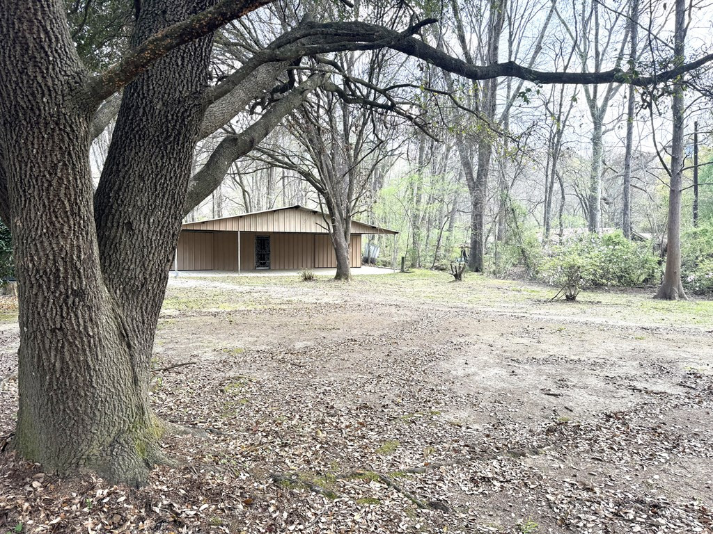 6 Winding Creek Road Natchez, MS 39120 - Photo 3 of 35 Photo 3