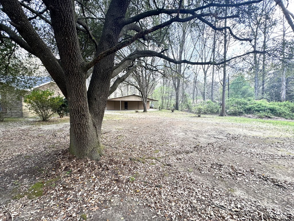 6 Winding Creek Road Natchez, MS 39120 - Photo 4 of 35 Photo 4