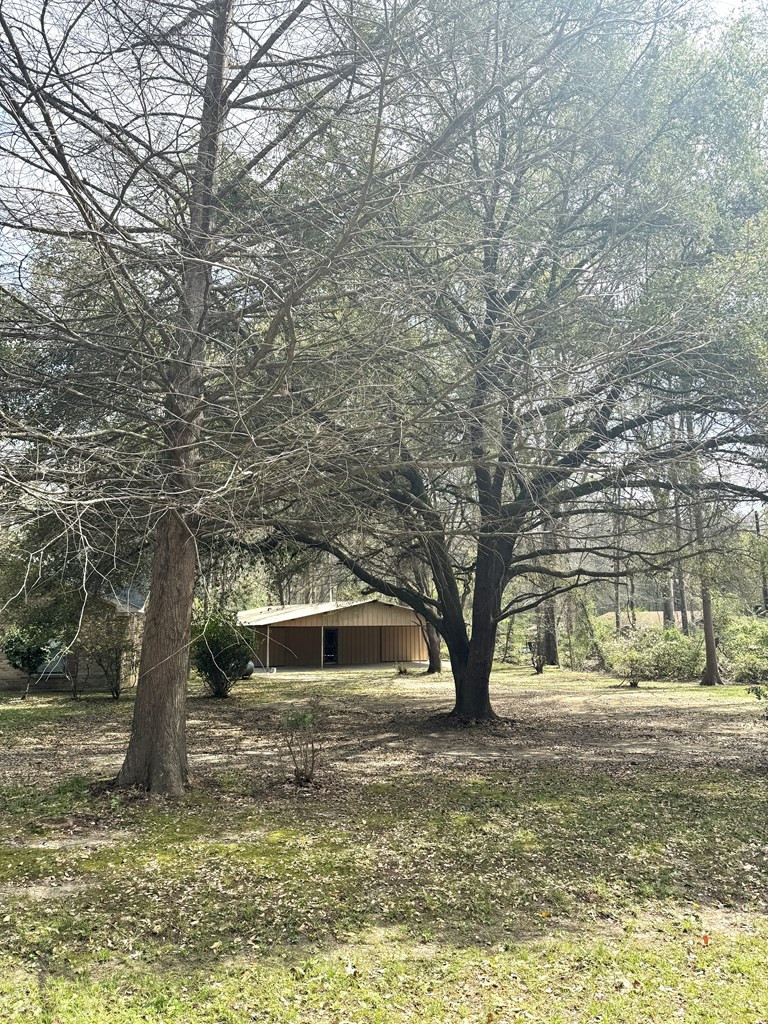 6 Winding Creek Road Natchez, MS 39120 - Photo 5 of 35 Photo 5