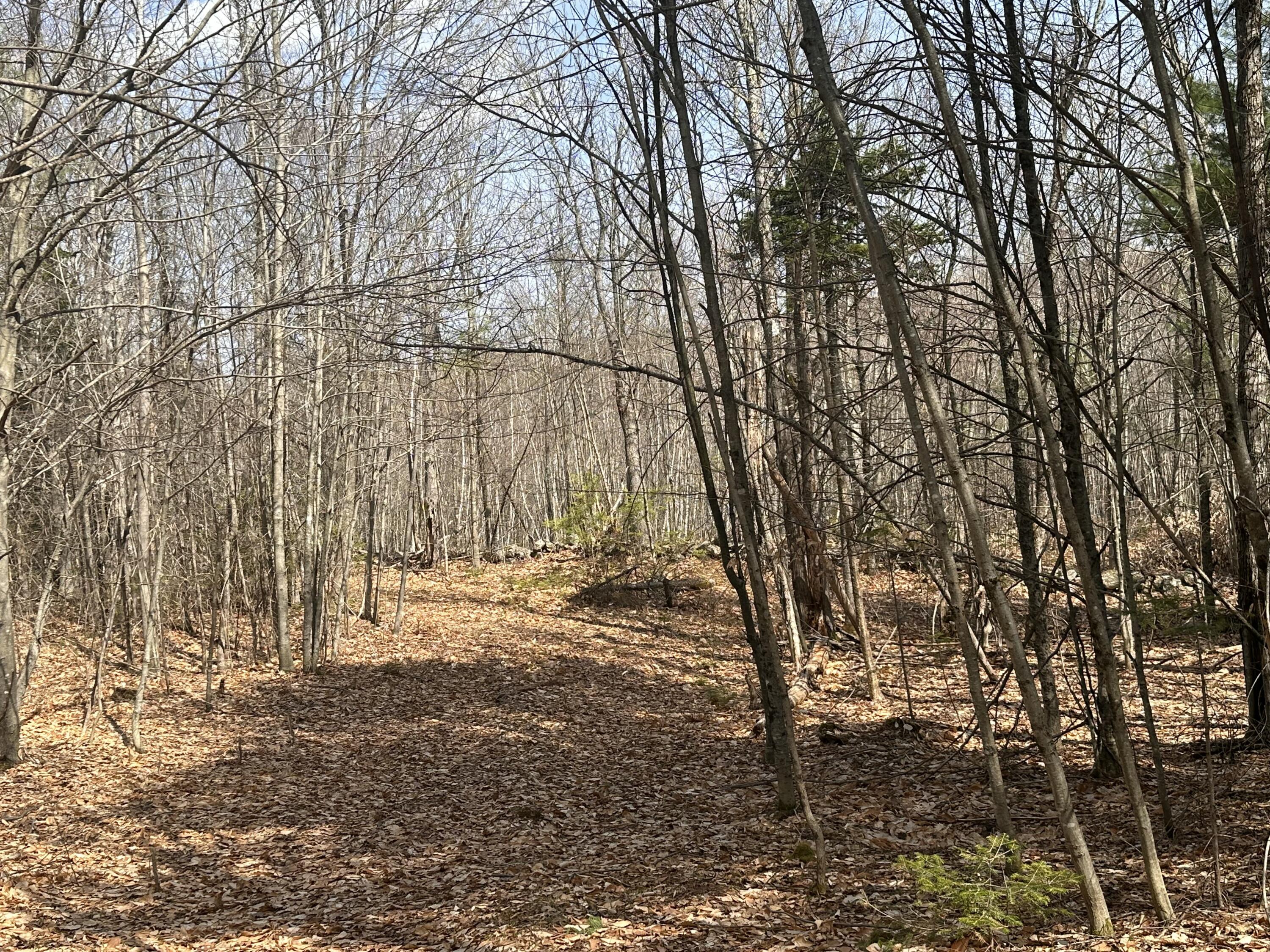 Lot 2 Filaroska Road New Sharon, ME 04955 - Photo 12 of 40 IMG_20260506_084152 (10)