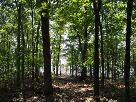 55 Stormy Point Road Branson, MO 65616 - Photo 1 of 1 Primary Photo