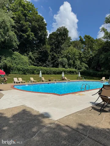 a view of a park with large trees