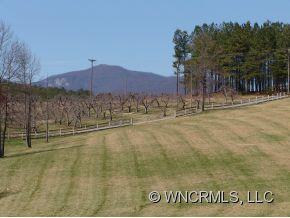 1279 Grassy Knob Road Mill Spring, NC 28756 - Photo 2 of 6 Gallery Image 2