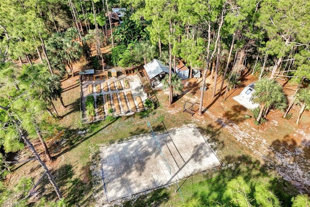3700 11th Avenue Southwest Naples, FL 34117 - Photo 39 of 50 a view of a yard with plants and trees