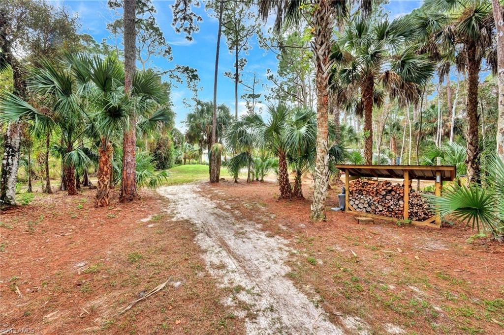 3700 11th Avenue Southwest Naples, FL 34117 - Photo 40 of 50 a view of outdoor space with trees