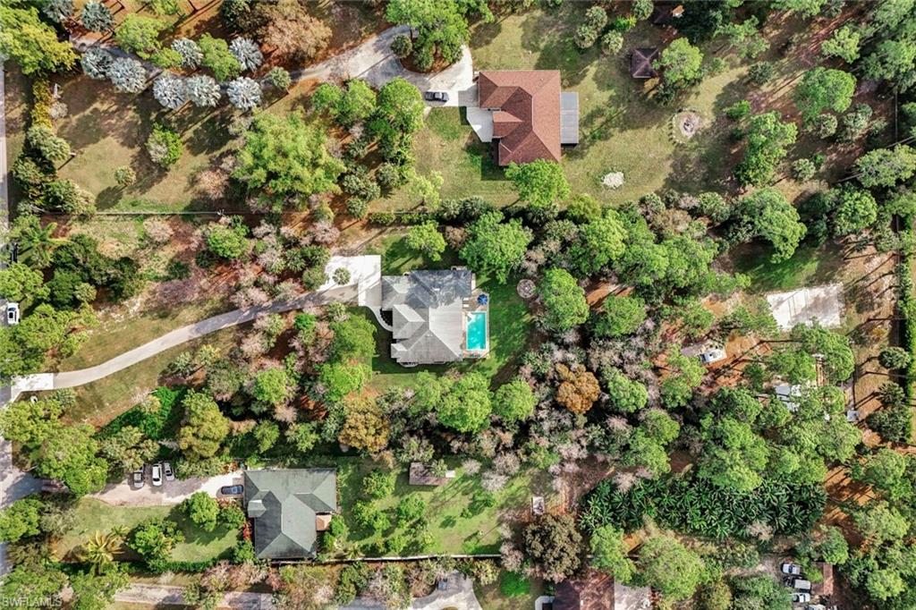 3700 11th Avenue Southwest Naples, FL 34117 - Photo 46 of 50 a picture of trees