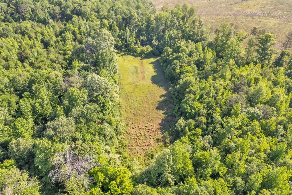 77 Hemlock Drive Clinton, SC 29325 - Photo 15 of 18