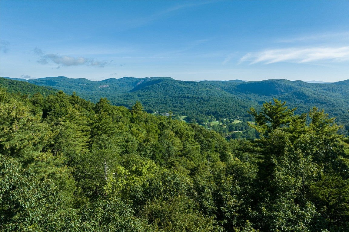 6 Long Wy Road Brevard, NC 28712 - Photo 19 of 21 Gallery Image 19
