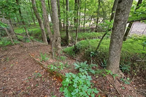 a view of forest
