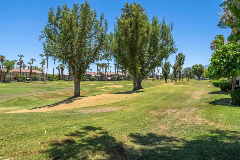 55384 Laurel La Quinta, CA 92253 - Photo 31 of 32 a view of yard with trees