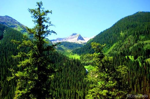 111 Forest Service Road Almont, CO 81210 - Photo 2 of 10 a backyard of a house with lots of green space
