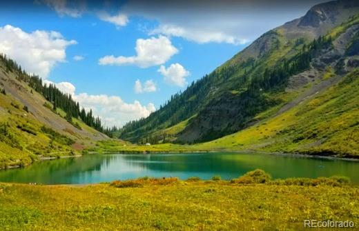 111 Forest Service Road Almont, CO 81210 - Photo 10 of 10 a view of lake with green space