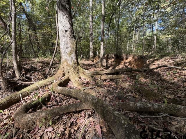 0 County Road 1206 Rusk, TX 75785 - Photo 20 of 27 Gallery Image 20