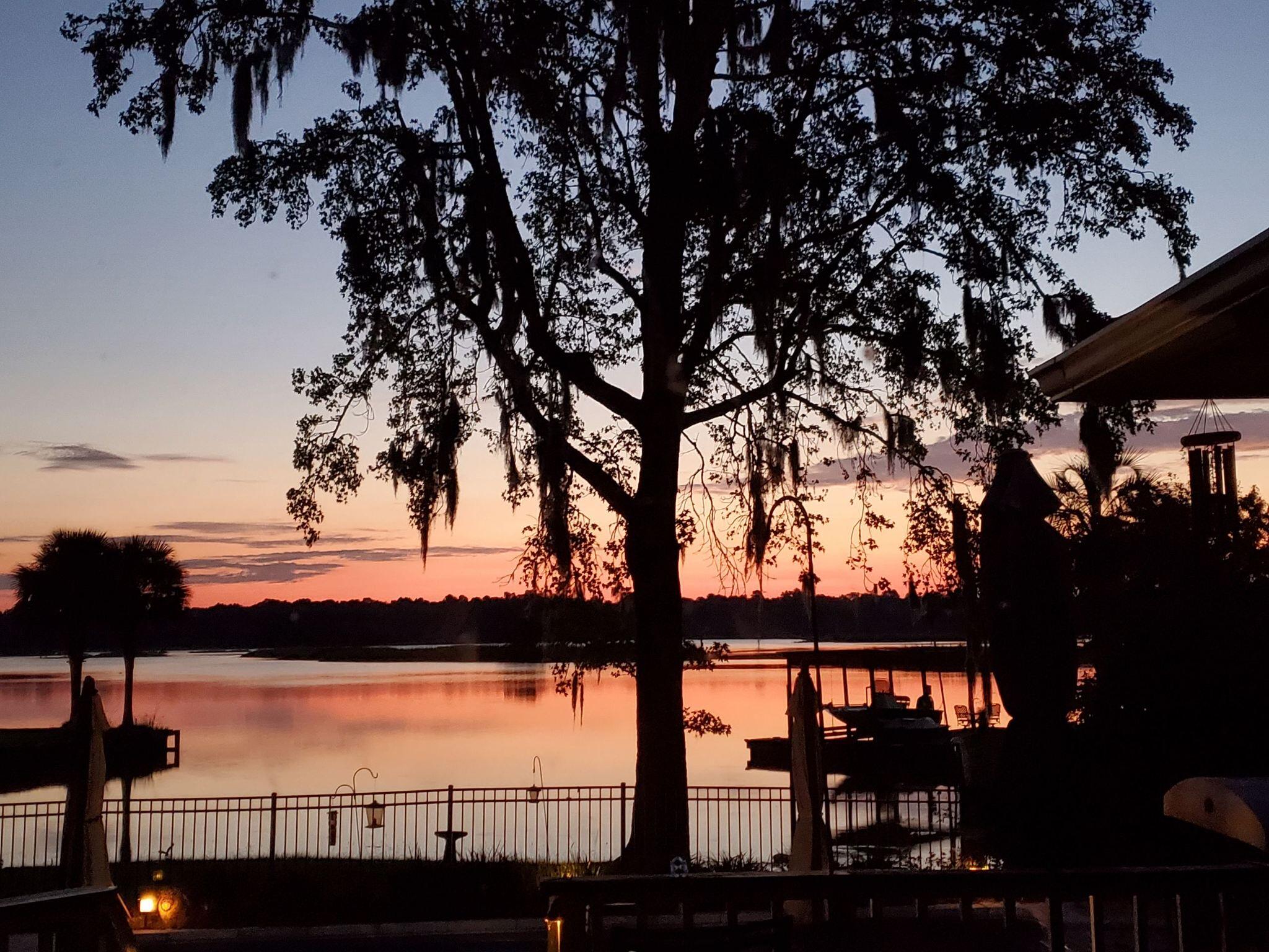 1809 Pintail Road Moncks Corner, SC 29461 - Photo 36 of 50 IMG-6803