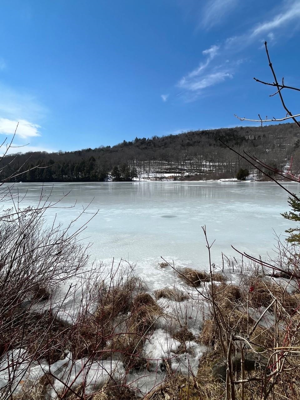 0 Rood Pond Road Williamstown, VT 05679 - Photo 1 of 5