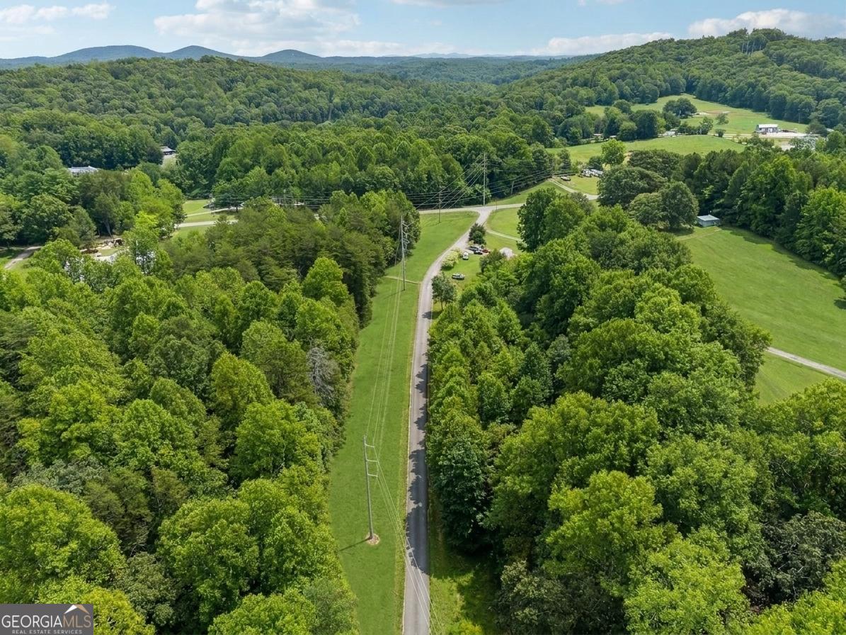 380 Guy Wimpy Road, Unit LOT 2 Dahlonega, GA 30533 - Photo 8 of 23