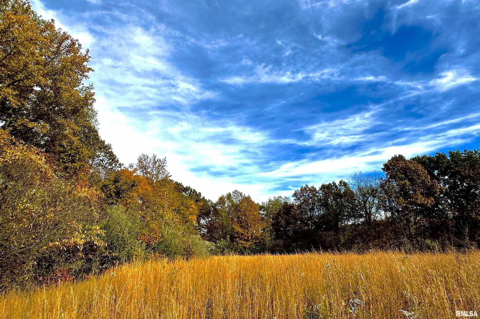 1143 North County Line Road Cobden, IL 62920 - Photo 11 of 31 a view of ocean