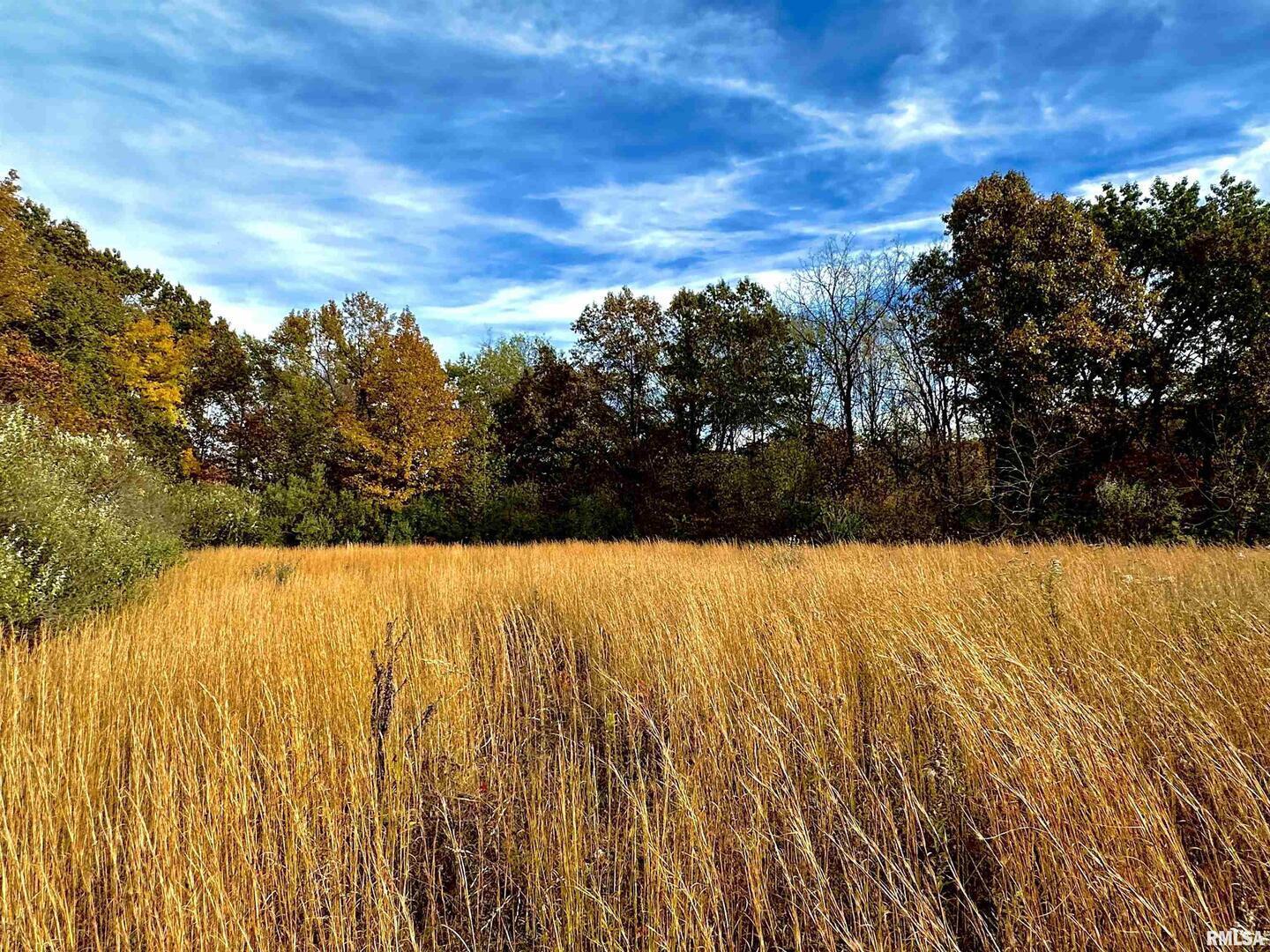 1143 North County Line Road Cobden, IL 62920 - Photo 12 of 31 a view of outdoor space and yard