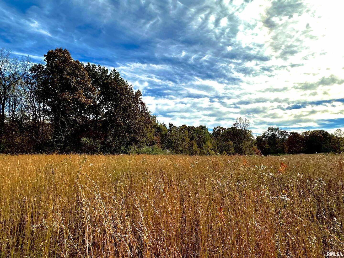 1143 North County Line Road Cobden, IL 62920 - Photo 13 of 31 a view of an ocean