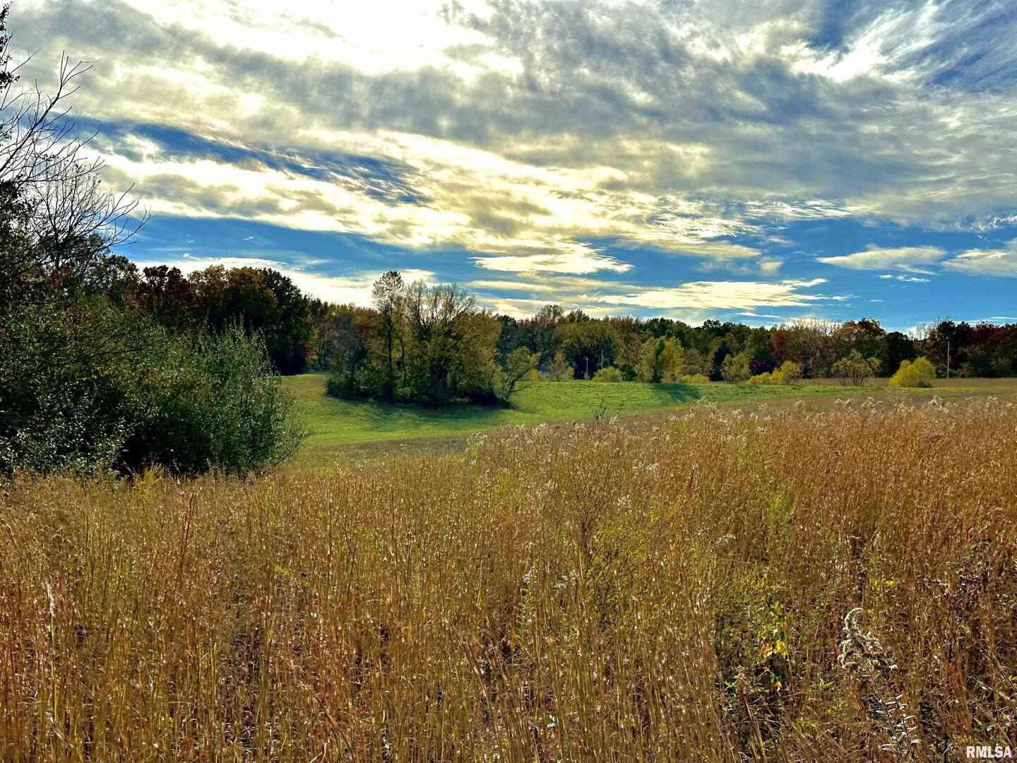 1143 North County Line Road Cobden, IL 62920 - Photo 14 of 31 a view of an ocean from a yard