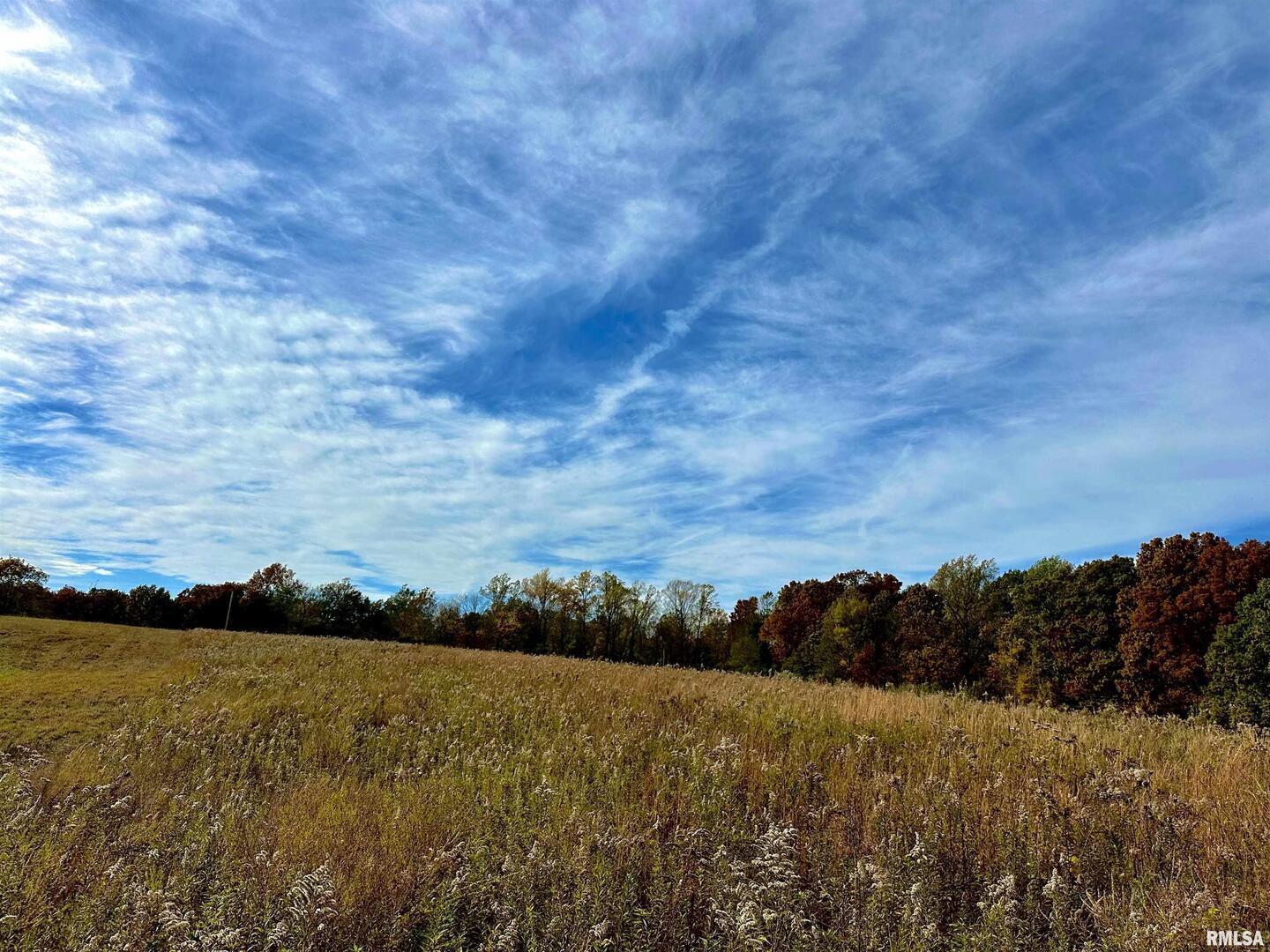 1143 North County Line Road Cobden, IL 62920 - Photo 16 of 31 a view of lake and mountain