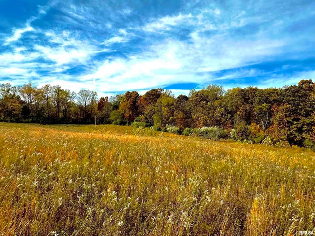 a view of an ocean and beach