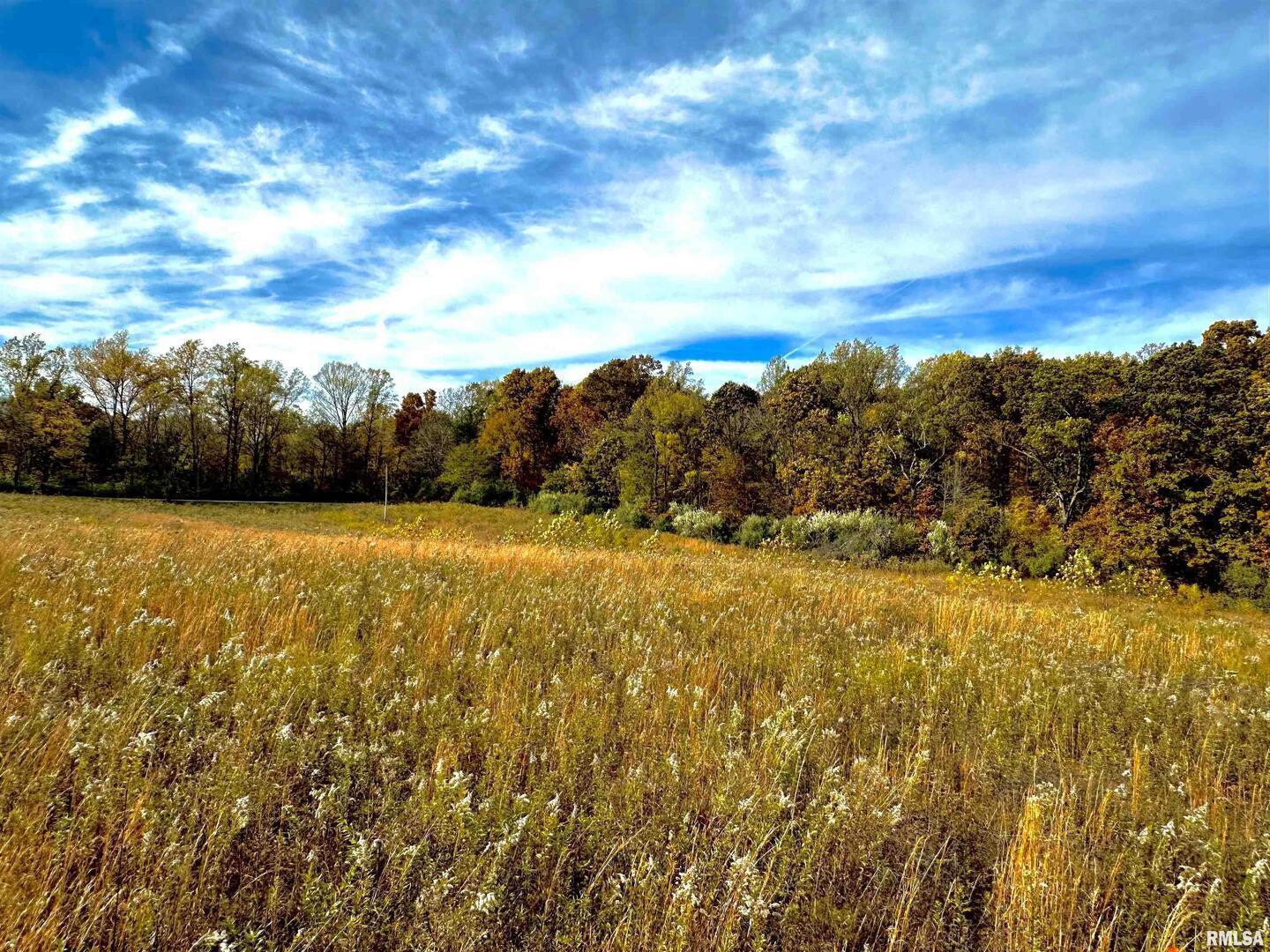 1143 North County Line Road Cobden, IL 62920 - Photo 18 of 31 a view of an ocean and beach
