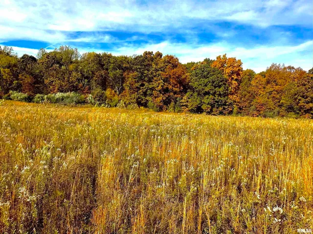 a view of an ocean from a yard