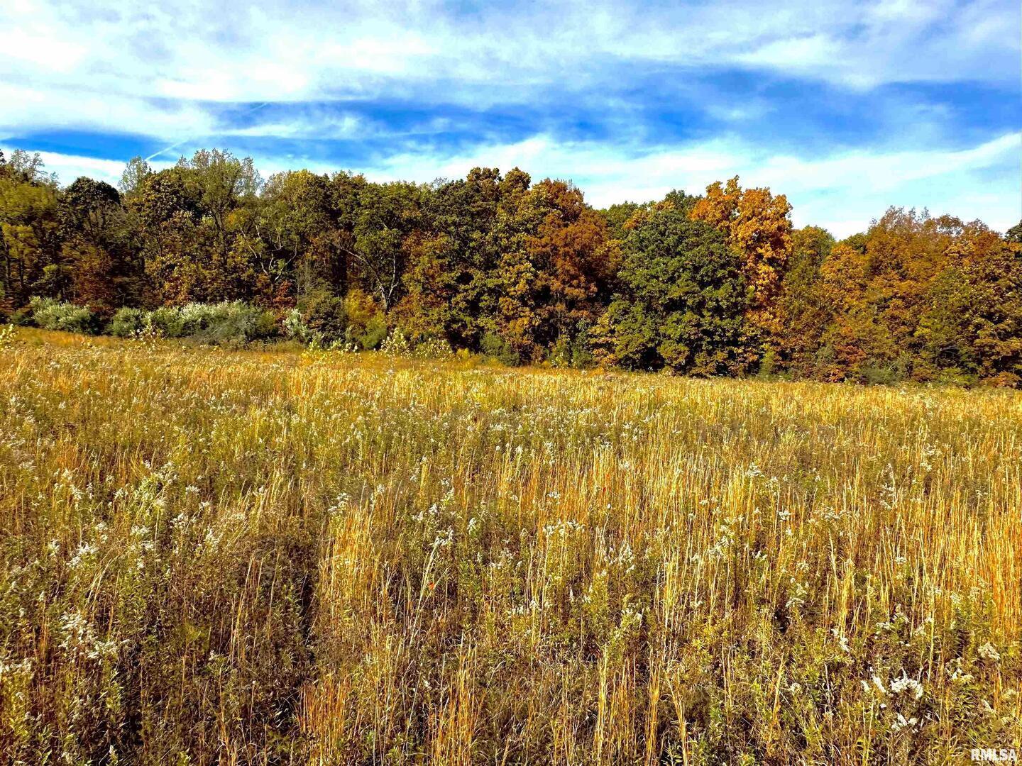 1143 North County Line Road Cobden, IL 62920 - Photo 19 of 31 a view of ocean