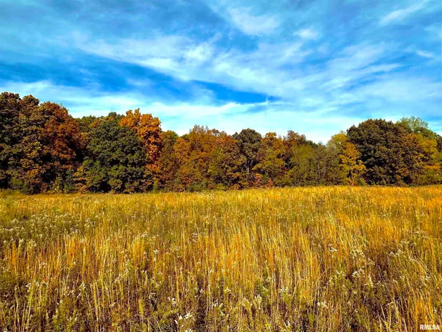 a view of an ocean from a yard