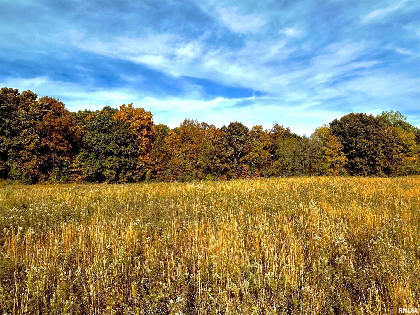 1143 North County Line Road Cobden, IL 62920 - Photo 20 of 31 a view of ocean