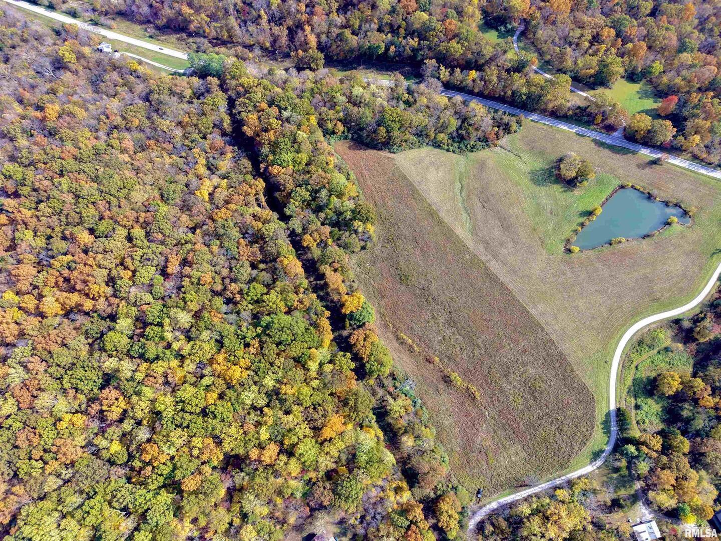 1143 North County Line Road Cobden, IL 62920 - Photo 2 of 31