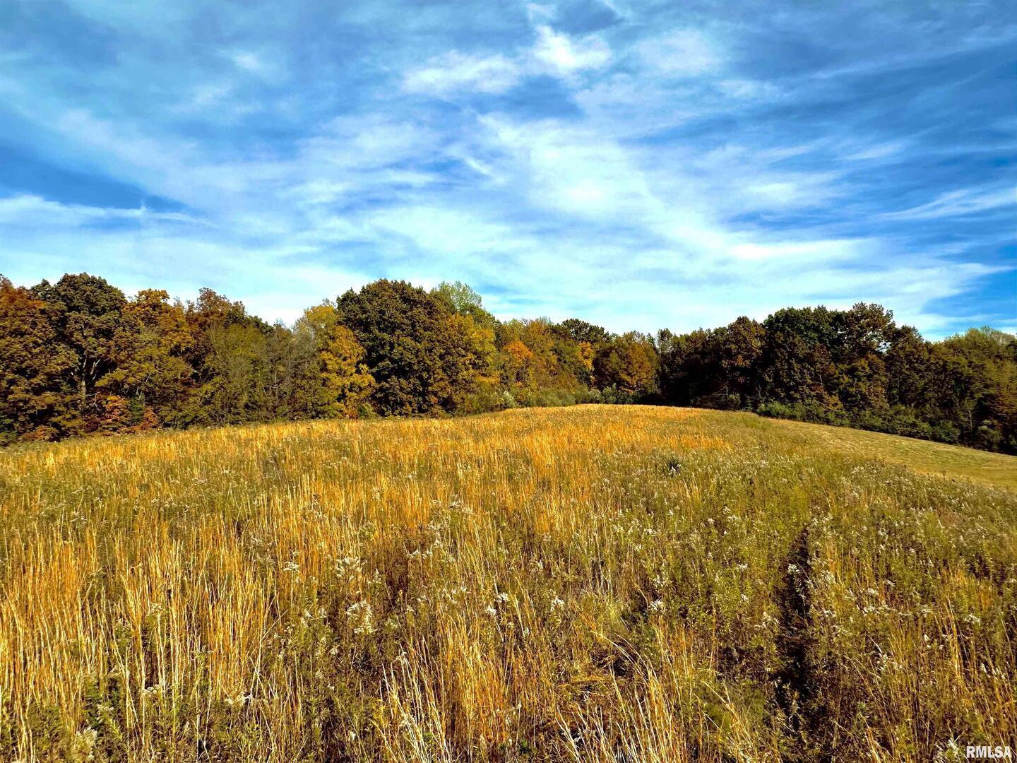 1143 North County Line Road Cobden, IL 62920 - Photo 21 of 31 a view of lake view and mountain