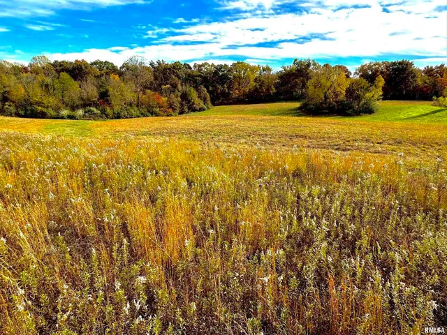 an aerial view of a painting