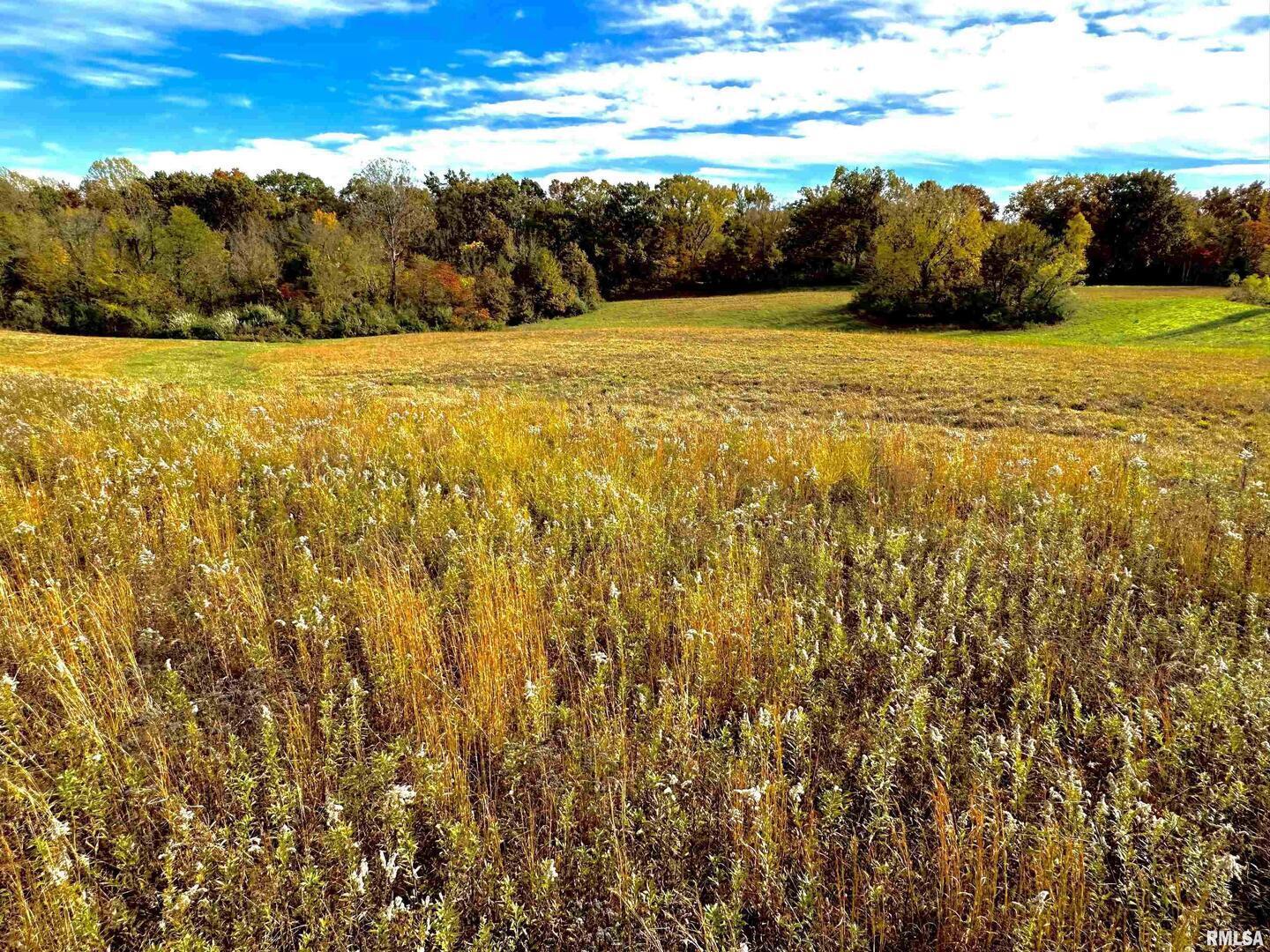 1143 North County Line Road Cobden, IL 62920 - Photo 23 of 31 a view of an ocean from a yard